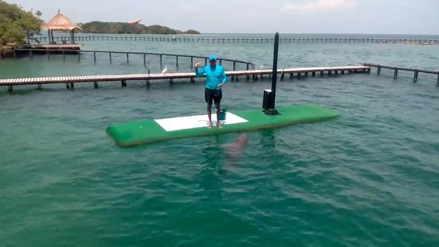 Шоу с дельфином в океанариуме Isla del Rosario, Колумбия смотреть онлайн