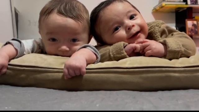 Жили у бабуси 2 веселых гуся смотреть онлайн