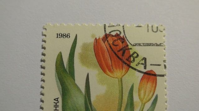 Почтовая марка. Почта СССР. 1986 г. Тюльпан Шренка смотреть онлайн