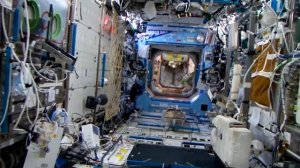 год на орбите (2/12)