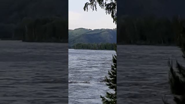 Думаю когда-то она называлась река Қатын,а теперь Катунь, как настоящая женщина ханша бурная. смотреть онлайн