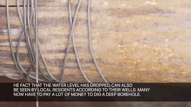 Swamps are the guardians of water systems (EN) смотреть онлайн