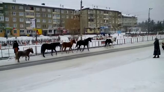 Ангарск. Побег)))Лошади на свободе! смотреть онлайн