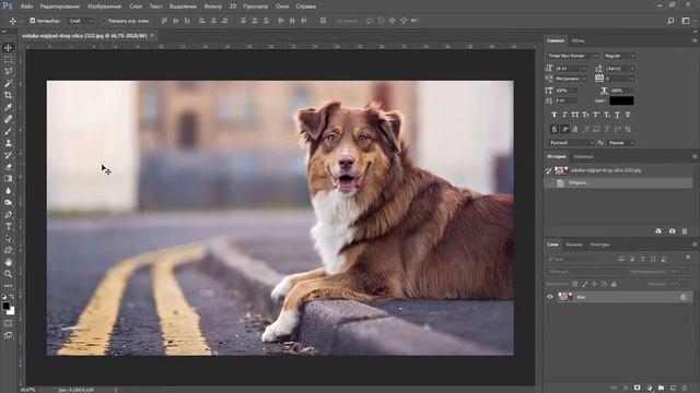 Строительные Журналы