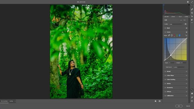 Outdoor Portrait Photography Preset l Photoshop Cine Green Preset XMP Free Download смотреть онлайн