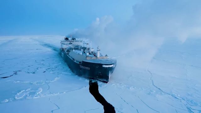 Разговоры о важном: 