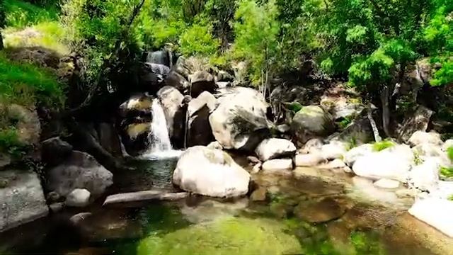 Майндфулнесс обучение. Практика осознанности. Сила уходящего смотреть онлайн