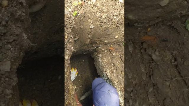 трещины энгельса часть 2