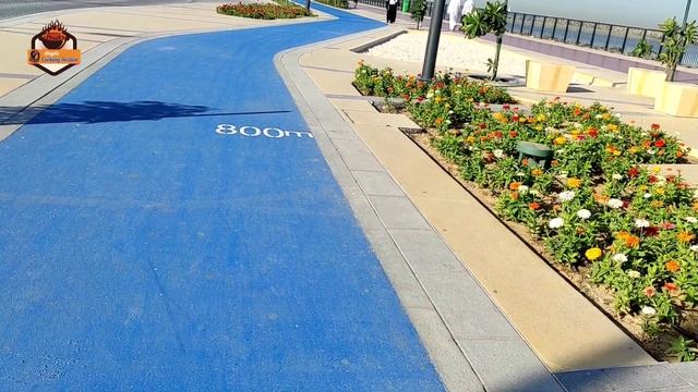 Sharjah Beach | New Sharjah Beach | Sharjah Public Beach | Beach In Sharjah