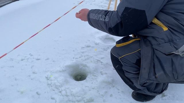 Ловим форель на пассив с приманкой в виде пасты смотреть онлайн