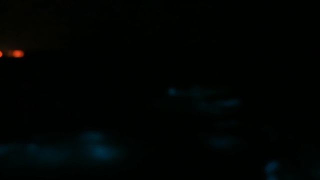 Luminous Lagoon In Falmouth, Jamaica