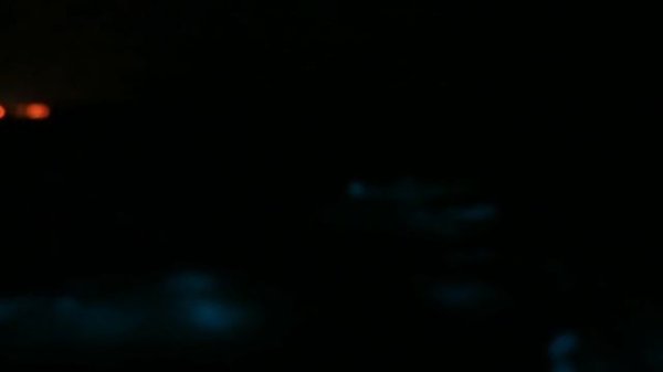 Luminous Lagoon in Falmouth, Jamaica