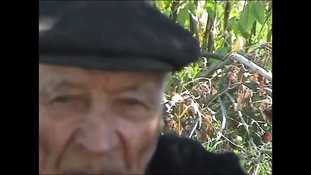 70 лет спустя смотреть онлайн