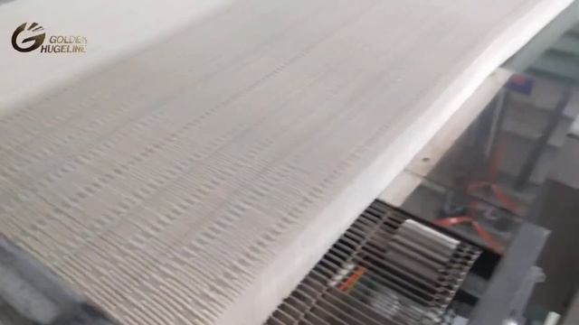 Tianjin Golden Hugeline-Factory origami process|Auto Air Filter China|Automotive Filter Manufacture смотреть онлайн