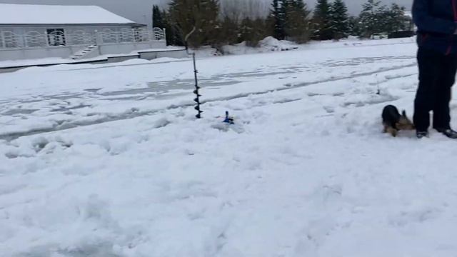 Онлайн с основного, клев огонь смотреть онлайн