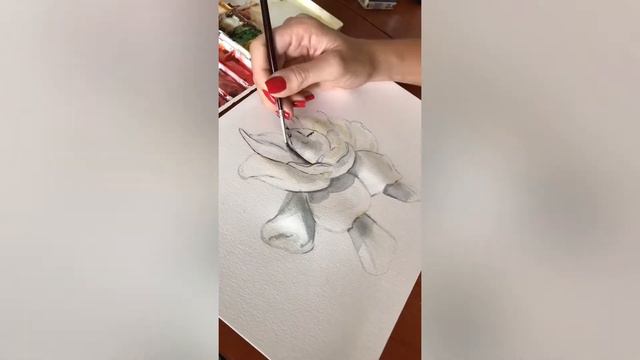 WATERCOLOR SPEED PAINTING Jasmine White Flower | Aquarela Flor Branca Jasmim Time Lapse смотреть онлайн