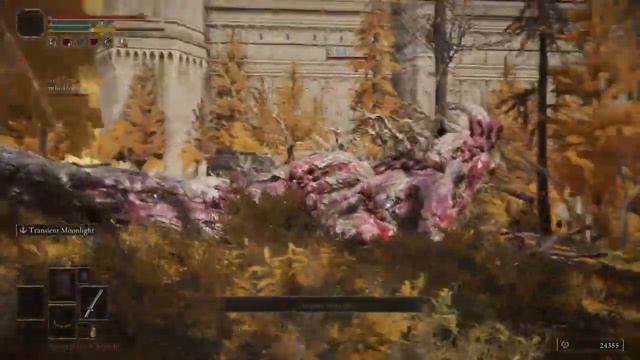 Elden Ring - boss kill gone wrong* смотреть онлайн