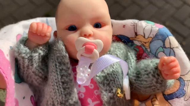 ВЛОГ С МИНИ РЕБОРНОМ / ПРОГУЛКА С МИНИ РЕБОРНОМ