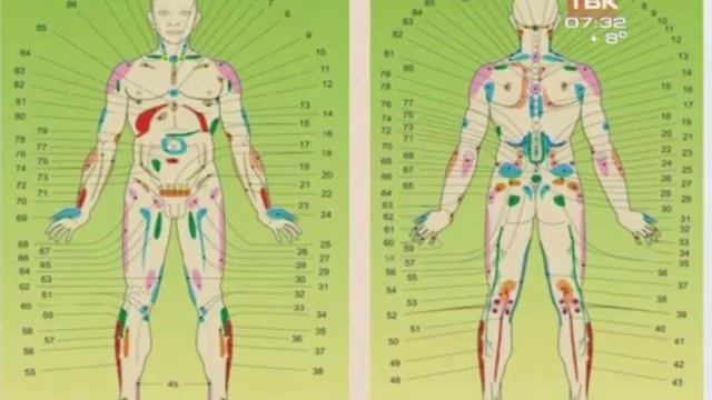 О чем кричит наше тело? смотреть онлайн