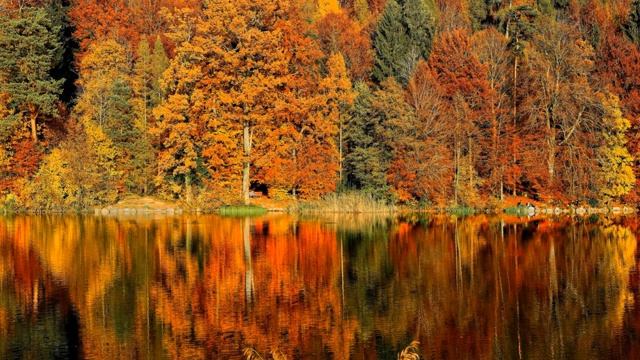 Лучшая Музыка и Видео для ДУШИ.Музыка для Души,Отдыха,Сна и Медитации!Relax! смотреть онлайн