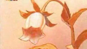 Пчелка Майя