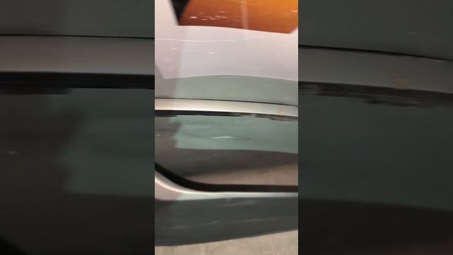 Дизайнерские находки