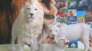 Моя коллекция фигурок животных Collecta 1 часть+подделки под Раро 🦁🐆🙂❤️