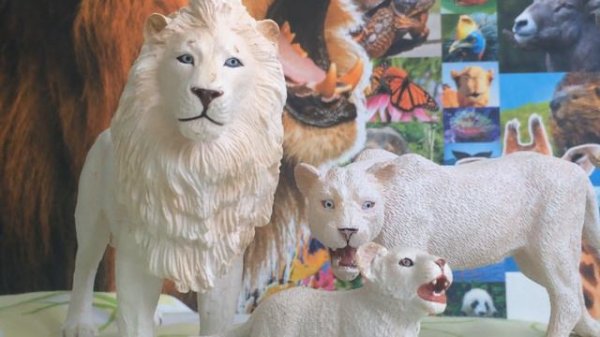 Моя коллекция фигурок животных Collecta 1 часть+подделки под Раро 🦁🐆🙂❤️