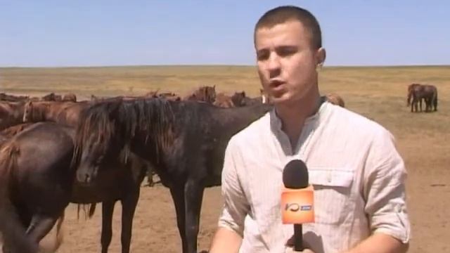 На севере Ростовской области появится новый природный парк