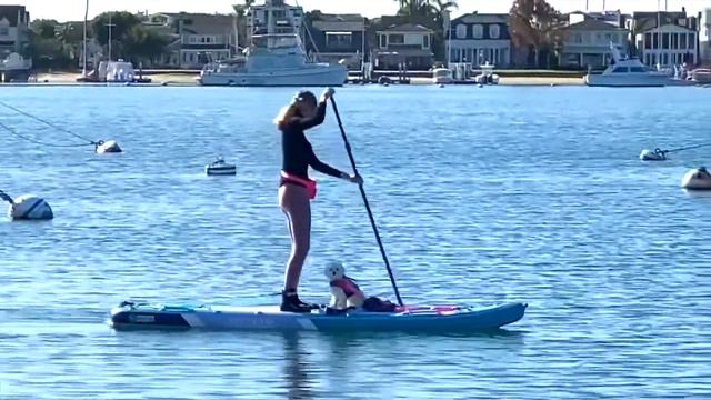 Balboa Island - The Georgina Jacobson Group смотреть онлайн
