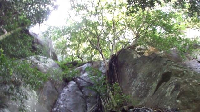 Плато Хортон, Шри Ланка / Horton Plains, Sri Lanka