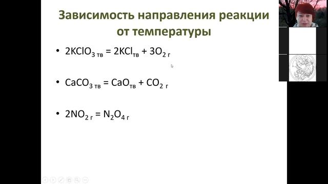 лекция 6 Химическое равновесие смотреть онлайн