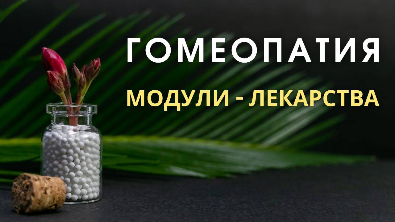 Гомеопатия в действии: история, принципы и современные методы смотреть онлайн