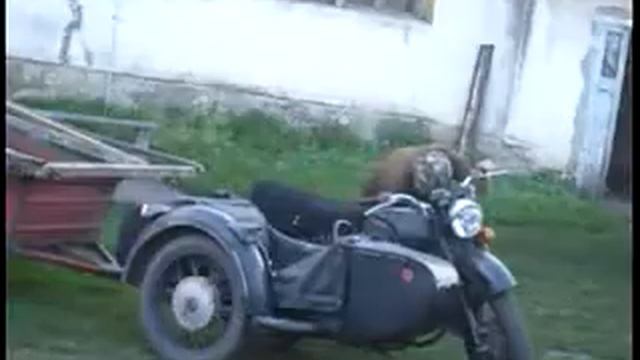 Как надо разговаривать с любимой женой смотреть онлайн