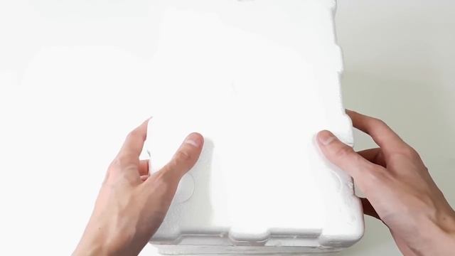 Чужой и Хищник | Ксеноморф 