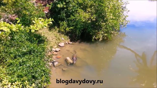 Рекава Лагун 3, Тангале (Rekawa Lagoon, Tangalle) февраль 2015