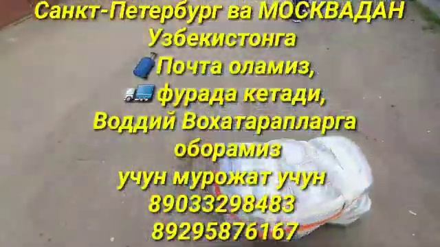 Грузоперевозки санкт-петербург-ташкент почта Москва Ташкент доставка бесплатно смотреть онлайн