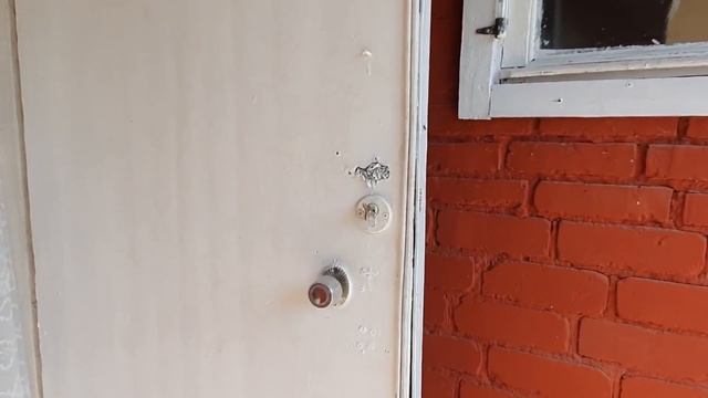 Рыба на Воле