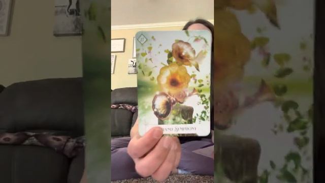 5/16 Collective Message ?? смотреть онлайн