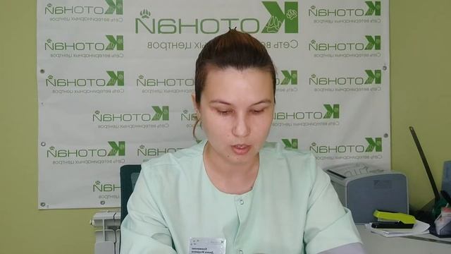 Наследственные заболевания глаз у кошек и собак смотреть онлайн