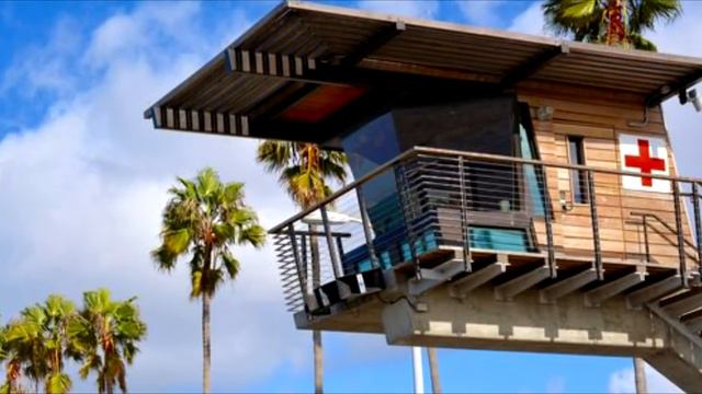 Мужчина увидел безжизненного кота с номером на ошейнике на пляже. Позвонив на номер, он АХНУЛ смотреть онлайн