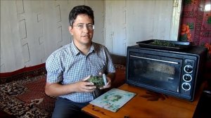 Профессиональная скрутка листа иван-чая в домашних условиях