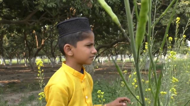 Humne Ankho Se Dekha Nahi Hain Magar | Mohd Abdul Mustafa