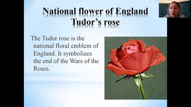 Symbols of the UK смотреть онлайн
