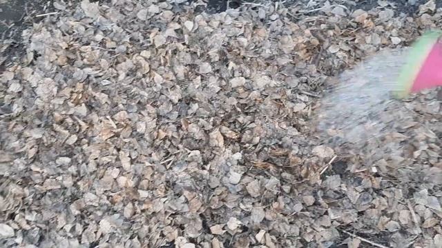 КУДА девать ГОРЫ листвы Весной! Весенняя уборка сада, КАК Быстро и Эффективно это сделать! смотреть онлайн