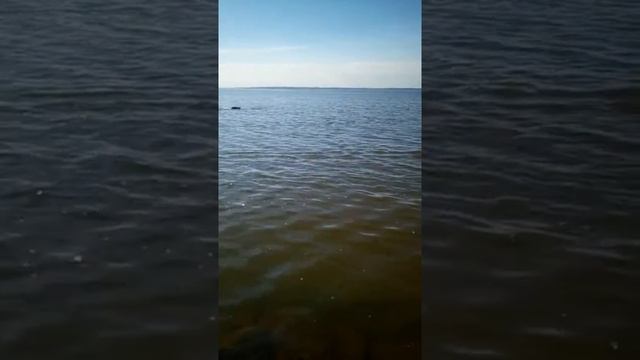 Кораблик для рыбалки, перестарался с двигателем смотреть онлайн