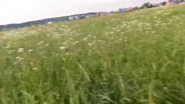 Ловим бабочек