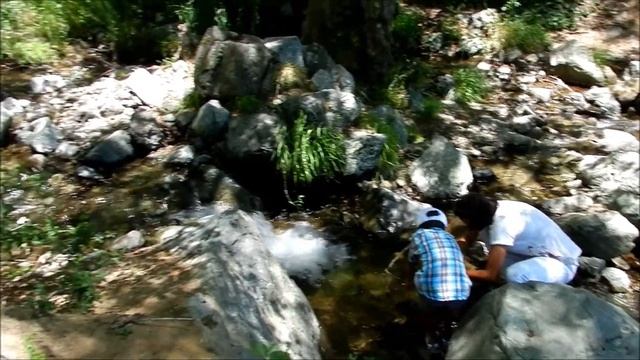 Водопад Каледония смотреть онлайн