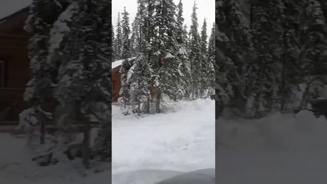 красивая зимняя природа мурманской области, лапландская деревня смотреть онлайн