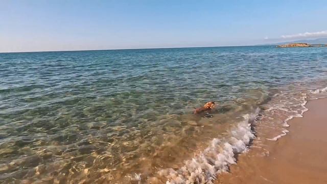 4 tedeschi in moto in spiaggia!? смотреть онлайн